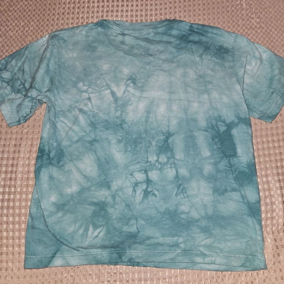 The Mountain Teal Chameleon T-Shirt - Picture 4 of 4